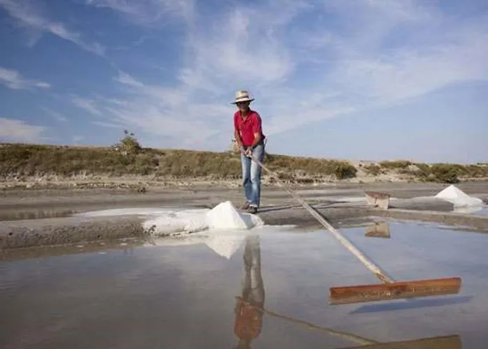 Appartement 1 Avec Vue Pour 6 Personnes - Fr-1-323-307 *